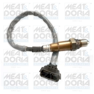 Oxygen Sensor